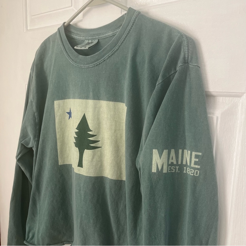Vacationland Maine flag logo Comfort Colors Graphic Tee in Green - Picture 2 of 4